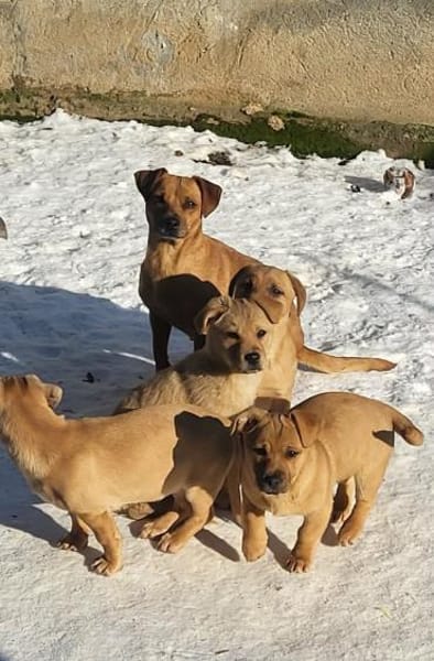 Jördis - Die kleine Mama 🥹