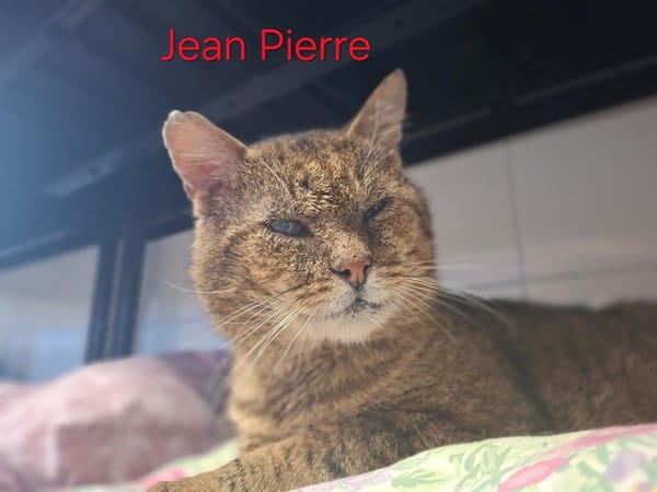 Jean pierre