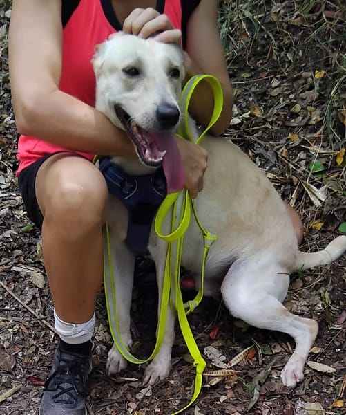 ✨️ FRANKLIN ✨️ 🐶