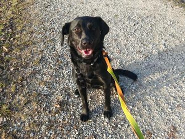 Monique sucht einen Neuanfang