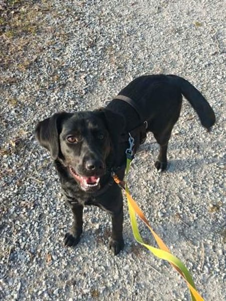 Monique sucht einen Neuanfang