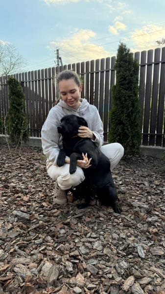 Lola sucht ihr Für-immer-Zuhause