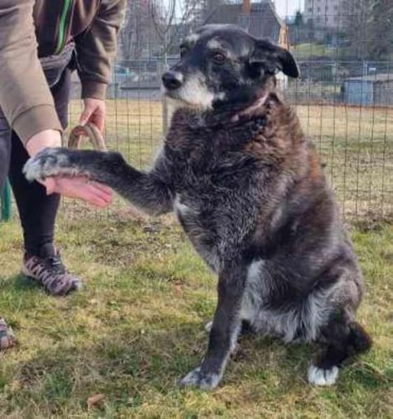 Paula, liebe Seniorin