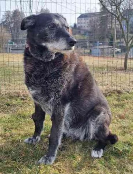 Paula, liebe Seniorin