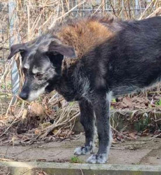 Paula, liebe Seniorin