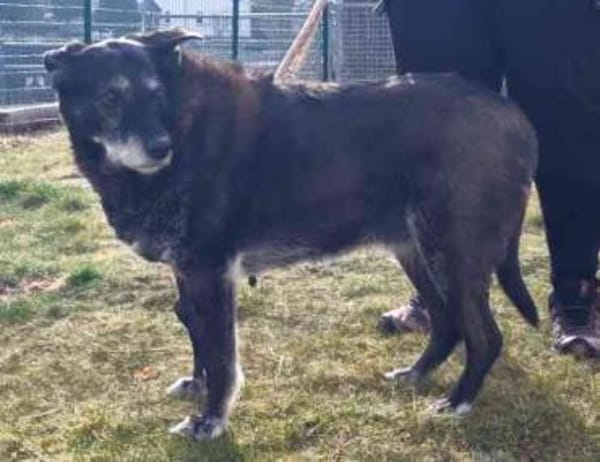 Paula, liebe Seniorin