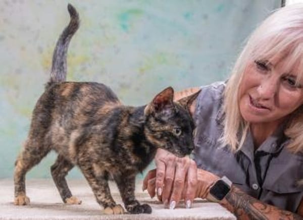 Esperanza wartet in Süddeutschland