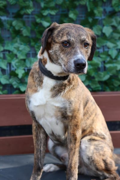 Lustiger Clown sucht seine Menschen