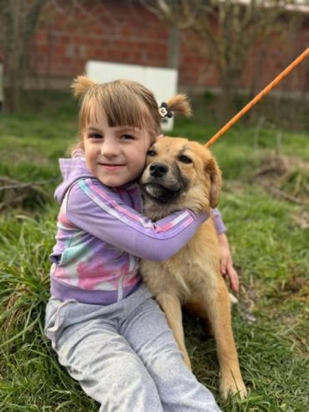 PANYA ❤ wartet in 72589 Westerheim