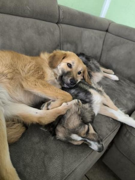 PANYA ❤ wartet in 72589 Westerheim