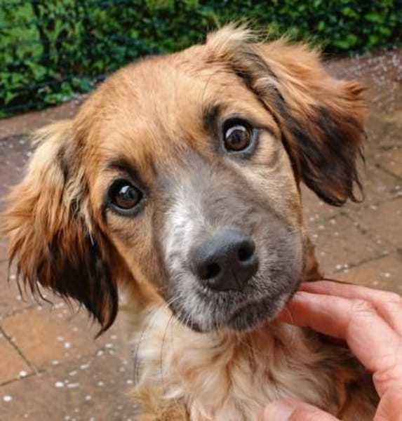 Hier kommt Theo 🥰