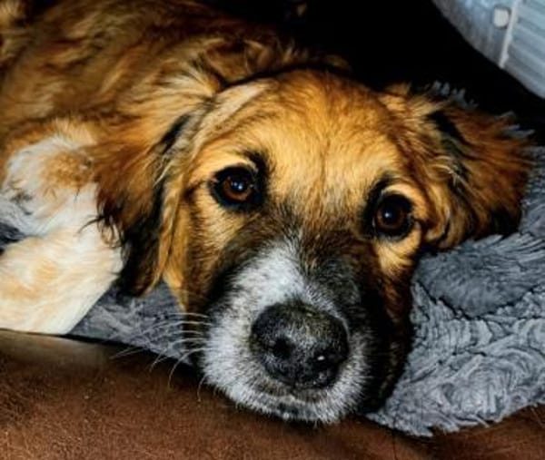 Hier kommt Theo 🥰