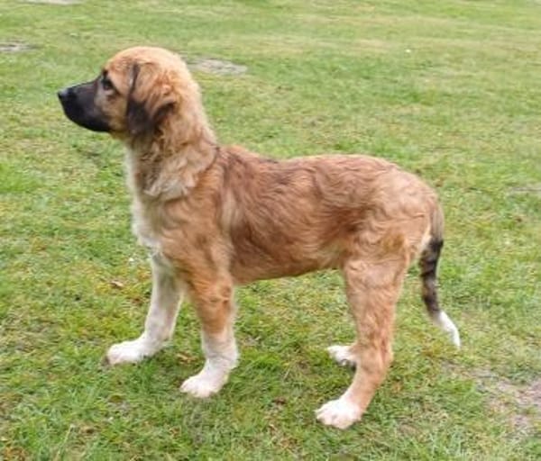 Hier kommt Theo 🥰