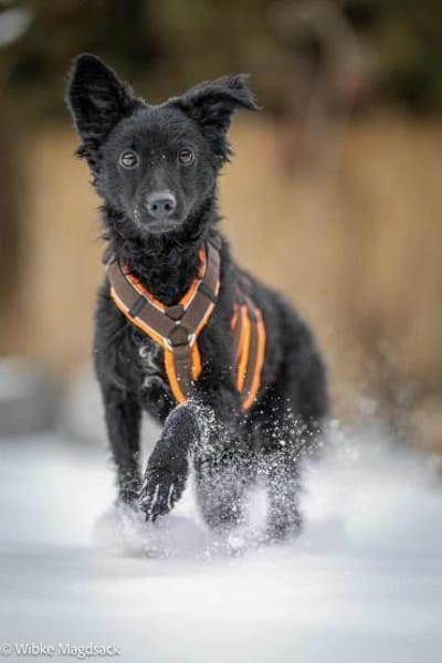 Freche Yuna sucht ihre Menschen