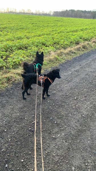 Freche Yuna sucht ihre Menschen