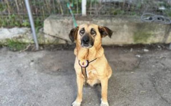 Juliana - sanft und bescheiden