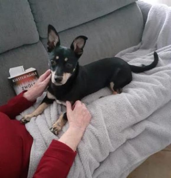 Klein Tonkitu ist so ein toller Schatz!