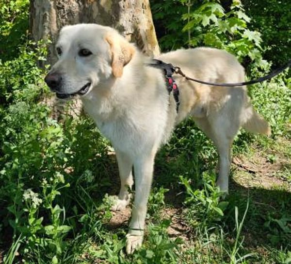 Essenza auf Pflegestelle in Hessen