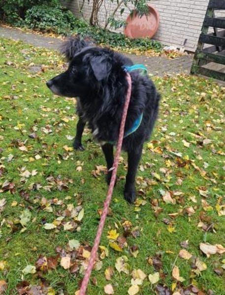 LILITH - blind aber nicht hilflos