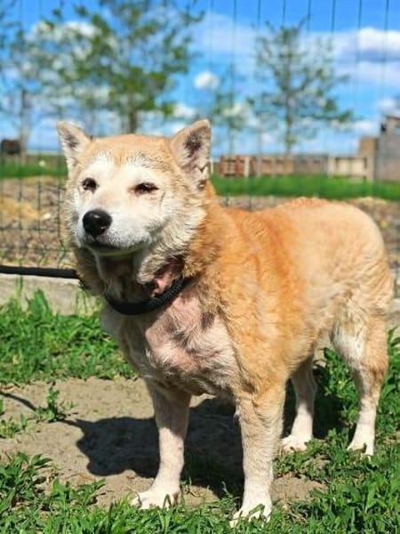 Lana möchte nur Liebe