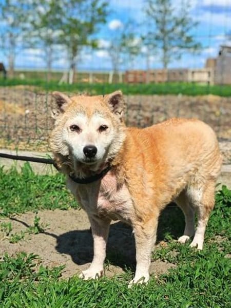 Lana möchte nur Liebe