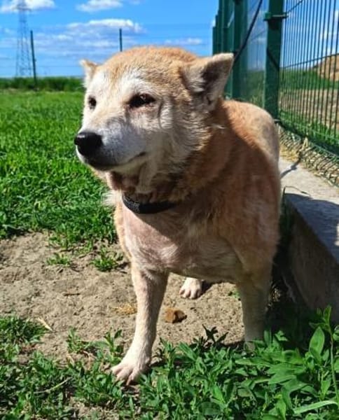 Lana möchte nur Liebe