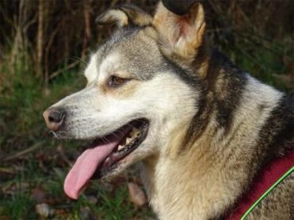 Bonus - 53557 Bad Hönningen