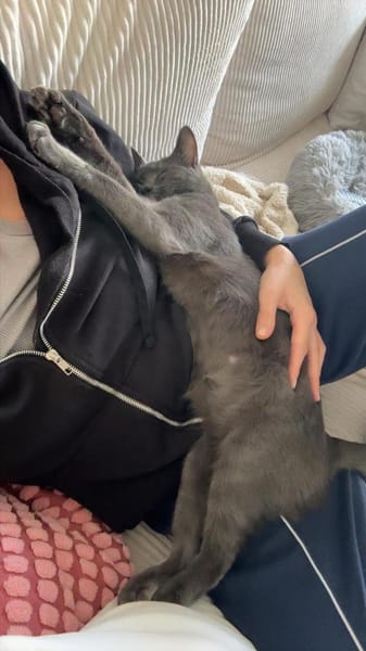 Tayo u. Gloria suchen liebevolles Heim