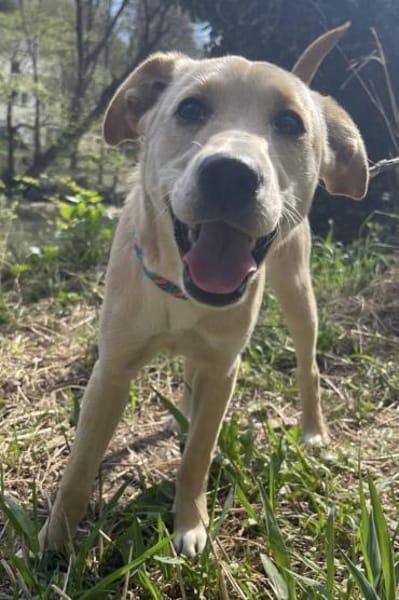 Sandy süße Maus / bei München