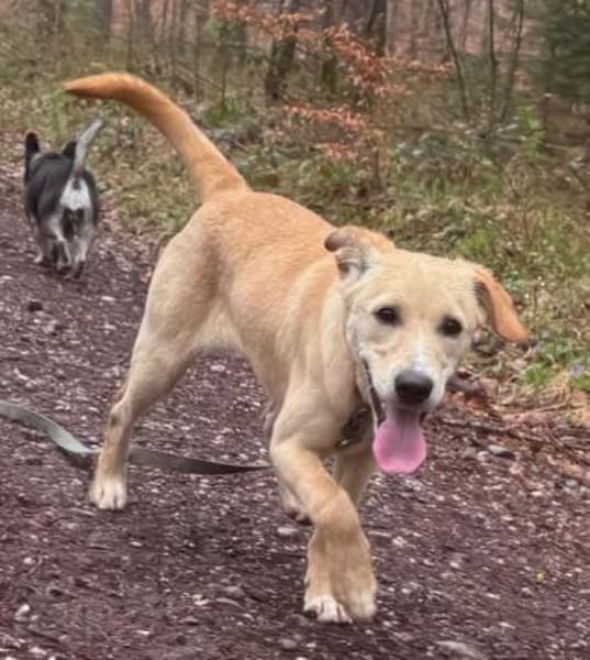 Sandy süße Maus / bei München