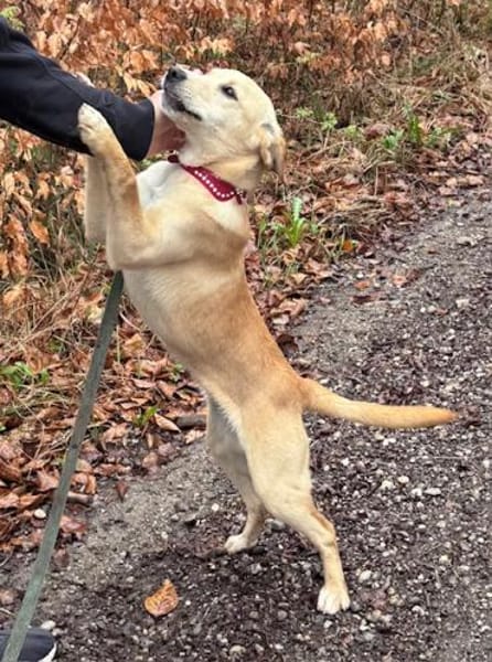 Sandy süße Maus / bei München