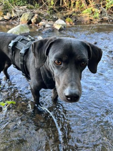 Georg freundlich und verschmust