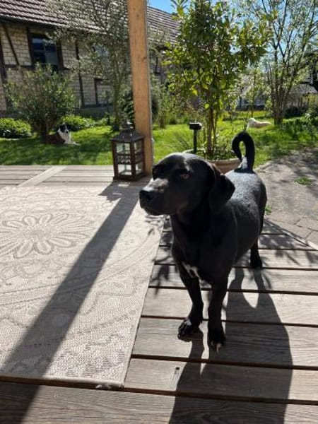 Georg freundlich und verschmust