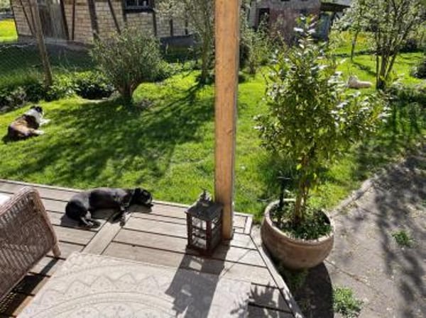 Georg freundlich und verschmust