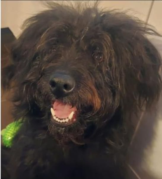 James° 61250 Usingen