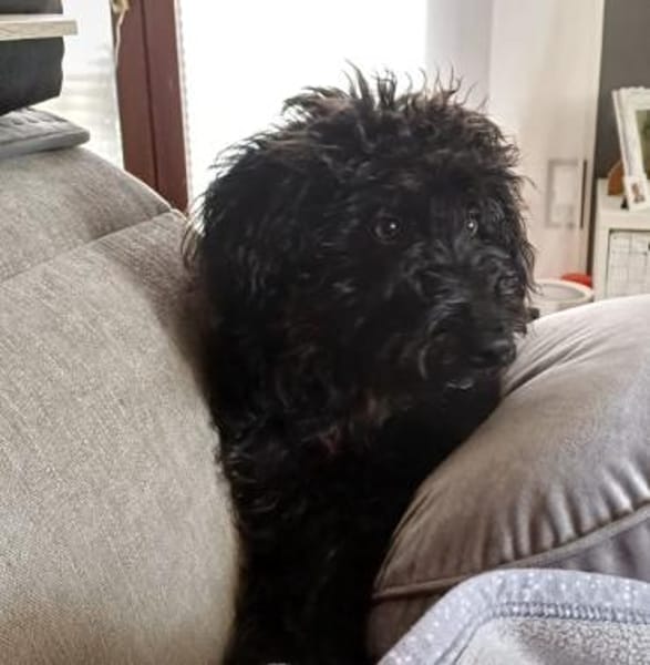 James° 61250 Usingen