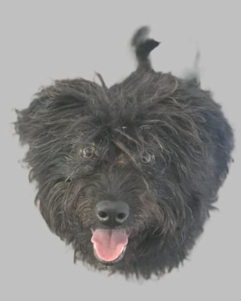 James° 61250 Usingen