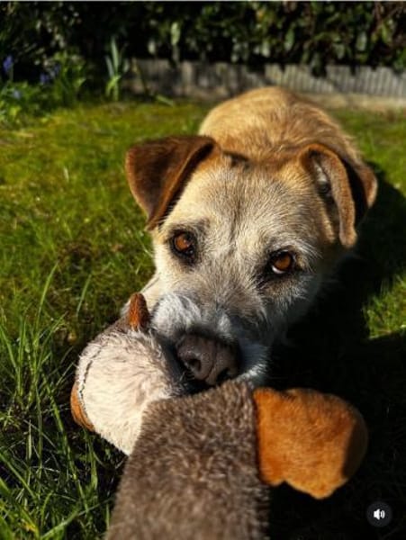 Daisy sucht ihr Für-immer-Zuhause 🐾