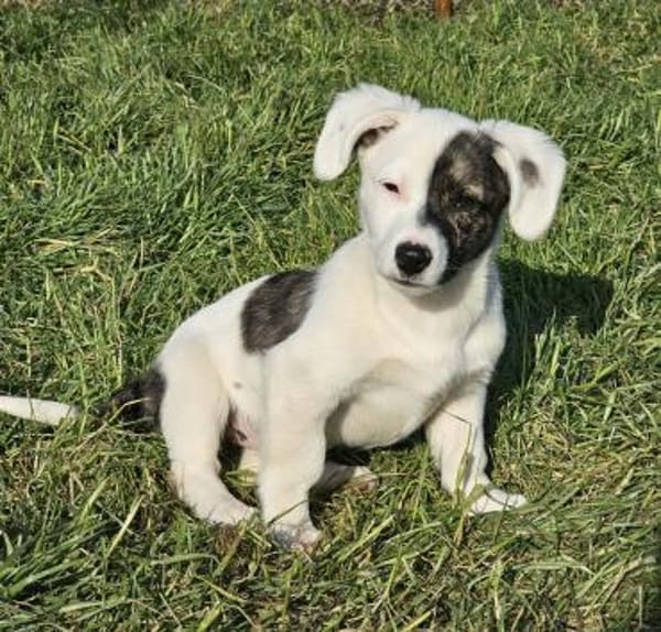 Nayeli - wartet irgendwo meine Familie?