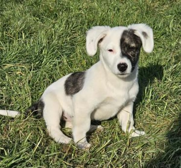 Nayeli - wartet irgendwo meine Familie?