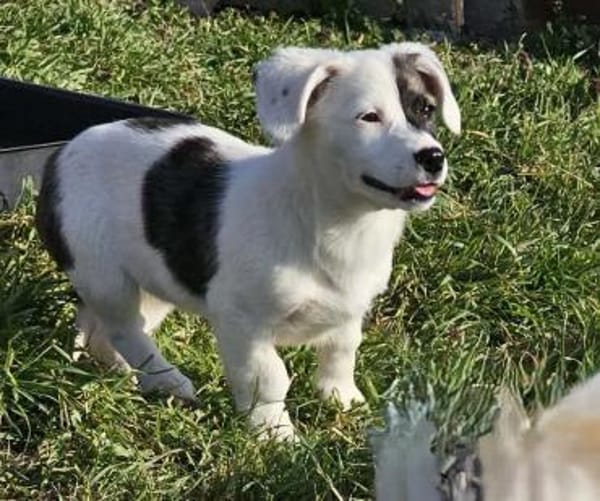 Nayeli - wartet irgendwo meine Familie?