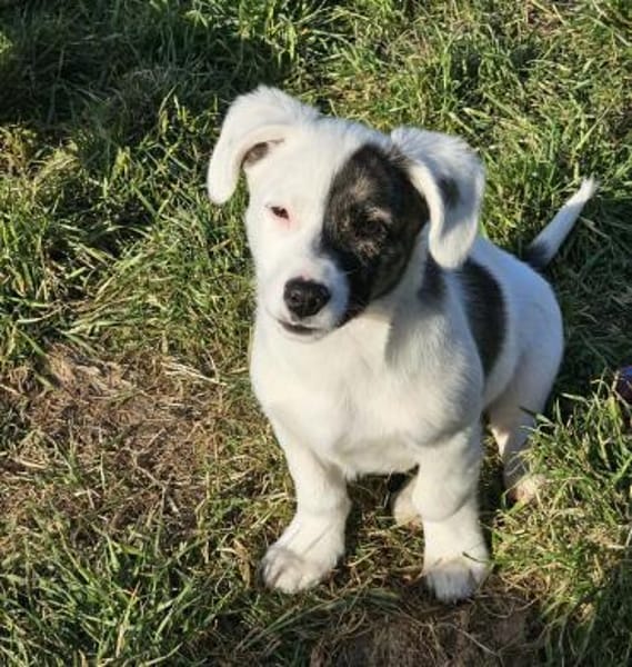 Nayeli - wartet irgendwo meine Familie?