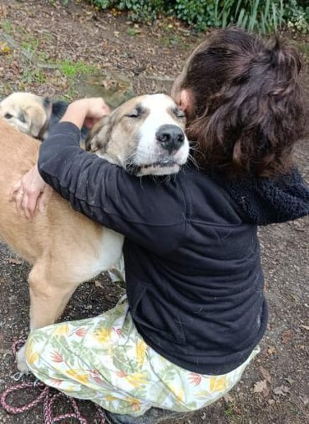 Sara- sensible, ruhige Hündin