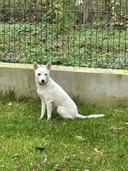 LÜTTE  kleines Schneeflöckchen!