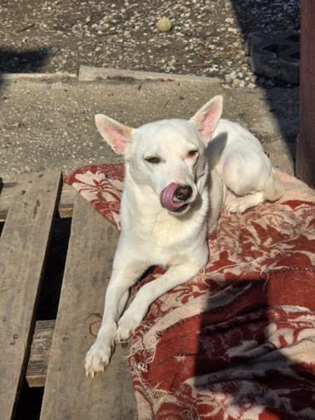 LÜTTE  kleines Schneeflöckchen!