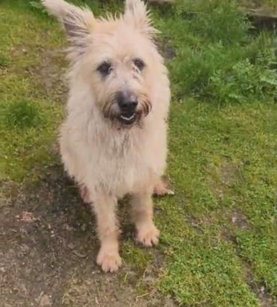 Nala möchte jetzt endlich genießen