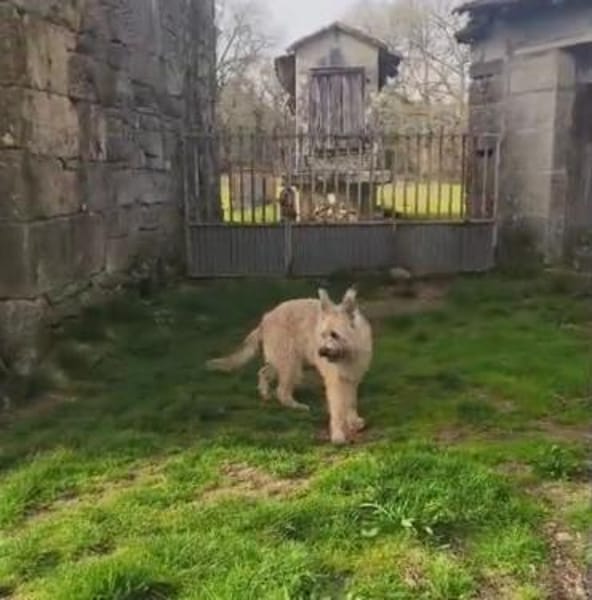 Nala möchte jetzt endlich genießen