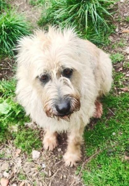 Nala möchte jetzt endlich genießen