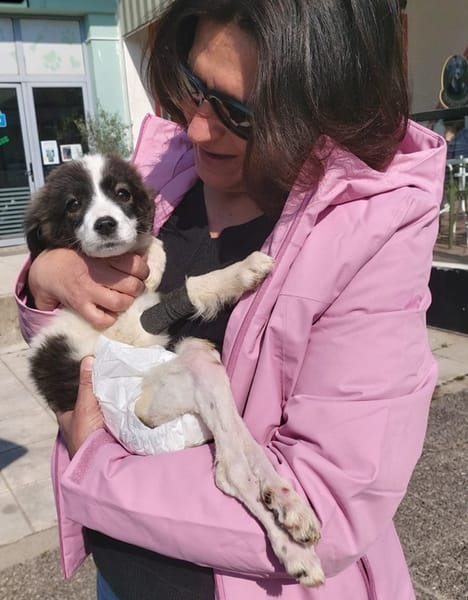 Padma - kleine, große Kämpferin