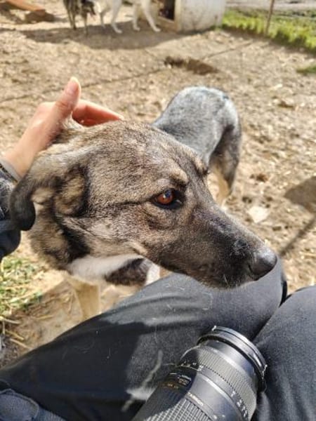 Zarah, komm unter meine Decke